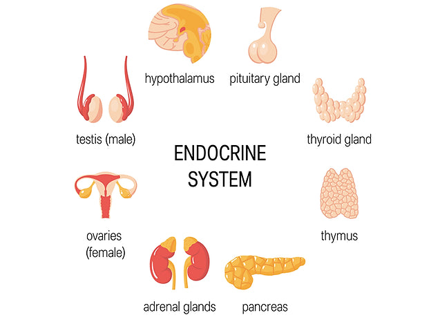 Upgrade to Consultant ,Endocrinology