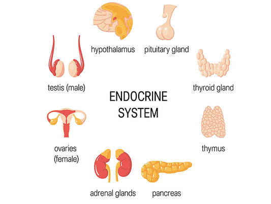 Upgrade to Consultant ,Endocrinology
